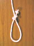 simple noose